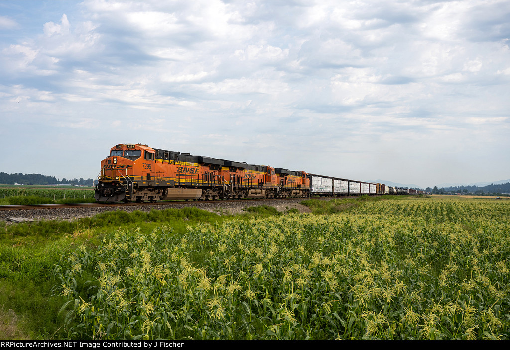 BNSF 7295